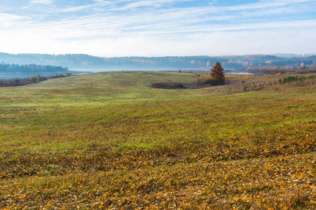 Beautiful autumnal landscape with grassland and trees. Tranquil autumnal day.の写真素材