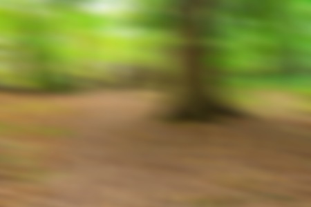 Blurry autumnal forest landscape. Beautiful abstract of polish forest at autumn. Nature defocused backgroundの写真素材