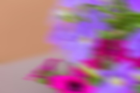 Background of out of focus flowers. Abstract colorful nature background.の写真素材