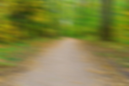 Blurry autumnal forest landscape. Beautiful abstract of polish forest at autumn. Nature defocused backgroundの写真素材