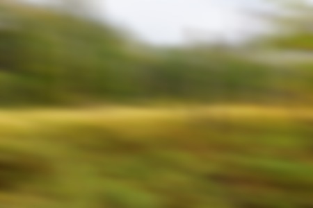 Blurry autumnal forest landscape. Beautiful abstract of polish forest at autumn. Nature defocused backgroundの写真素材