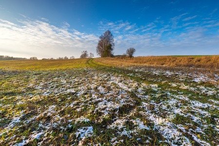 Landscape of fields at late autumn or winter with little snow and withered trees and grassland....