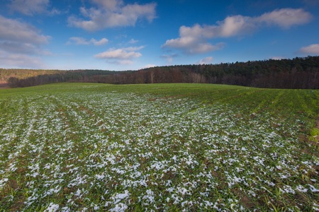 Landscape of fields at late autumn or winter with little snow and withered trees and grassland. Polish landscapeの写真素材