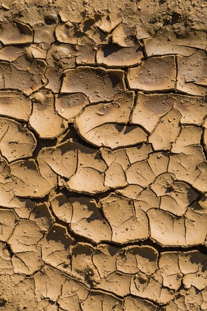 Close up of dried puddle. Abstract nature background
