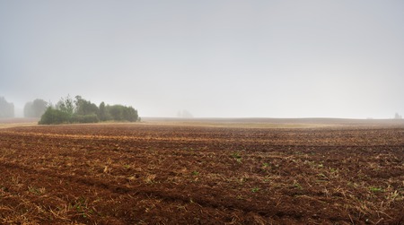 Plowed autumnal field landscape. Polish countryside