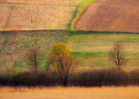 Field landscape, stubble field on polish countryside