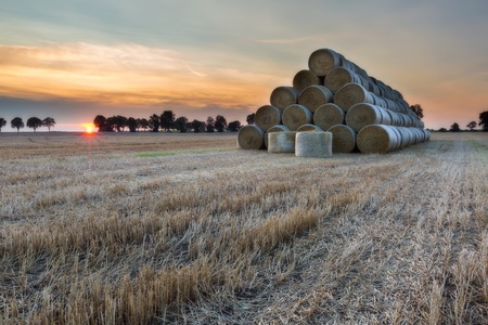 Stubble field landscape. Polish after harvest landscapeの写真素材