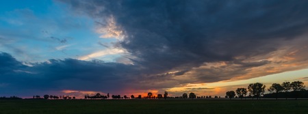 Young cereal field landscape, polish cultivated field.