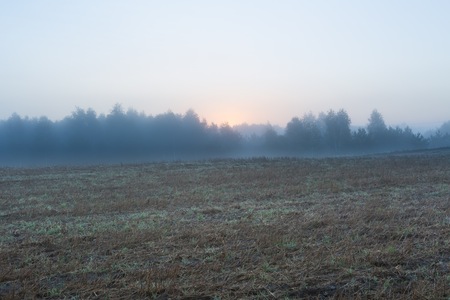 Nice foggy morning meadow. landscape of Polandの写真素材