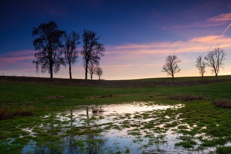 Flooded meadow landscape. Polish countryside at springtimeの写真素材