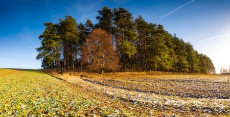 Early winter or late autumnal landscape of field at good weather. Fields with little snow.の写真素材