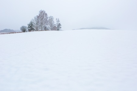Winter field under cloudy gray sky. European fields landscape at winter.
