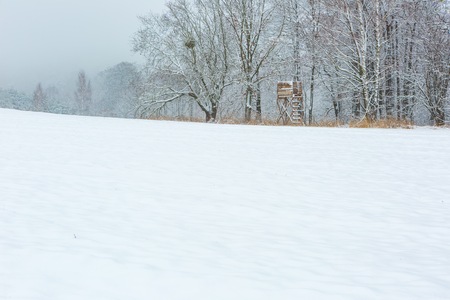 Winter field under cloudy gray sky. European fields landscape at winter.の写真素材