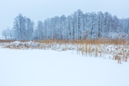 Winter landscape of frozen lake covered by snow. European lake frozen at wintertime.の写真素材