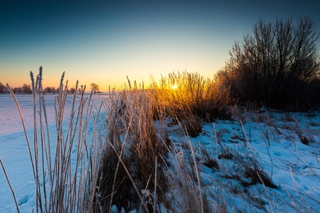 Beautiful cold morning on snowy winter countryside. Polish countryside at snowy winter.の写真素材