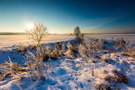 Beautiful cold morning on snowy winter countryside. Polish countryside at snowy winter.の写真素材
