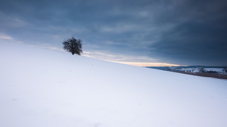 Winter field landscape under cloudy sky. Polish countrysideの写真素材