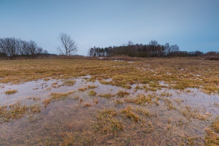 Winter or early spring landscape of fields with after snow puddles under cloudy sky. Sad landscapeの写真素材