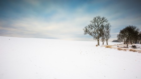 Winter snowy field landscape. Polish fields after blizzard.の写真素材