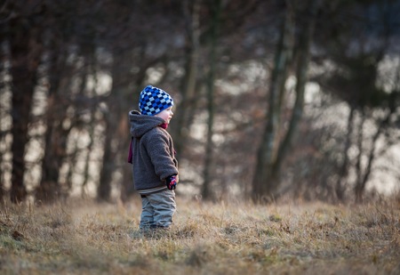 Little boy playing outdoor near forest. Beautiful child photo with golden light.の写真素材