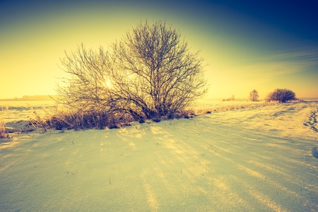 Vintage landscape of winter field in Poland. Beautiful retro landscape.の写真素材
