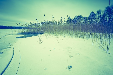 Vintage photo of frozen lake at winter. Natural landscape with filtered look.の写真素材