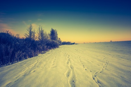 Vintage landscape of winter field in Poland. Beautiful retro landscape.の写真素材