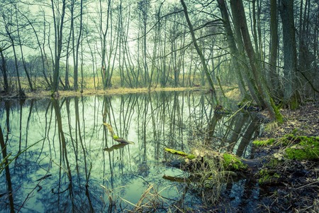 Vintage photo of river in springtime forest in Poland. Early springtim landscape of sad landscape with trees and river.の写真素材