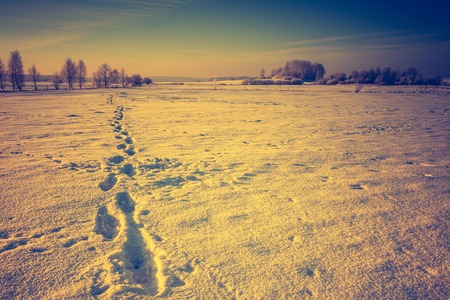 Vintage landscape of winter field in Poland. Beautiful retro landscape.の写真素材