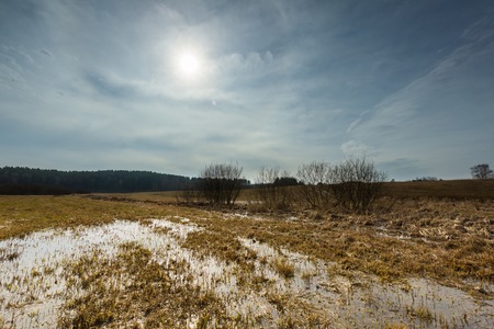 Early springtime on meadow near wetlands. Flooded meadow under cloudy sky. Polish landscape