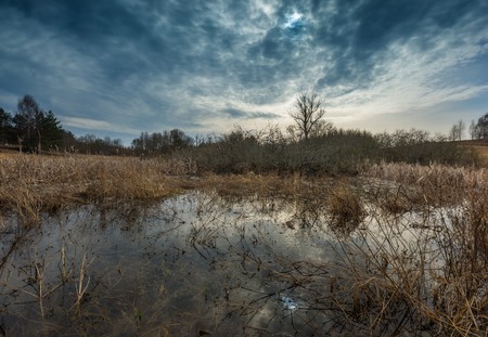 Early springtime on meadow near wetlands. Flooded meadow under cloudy sky. Polish landscapeの写真素材