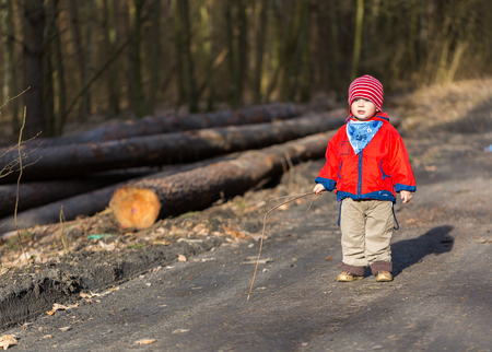 Happy caucasian boy playing outdoor in forest. Walk in forest.の写真素材