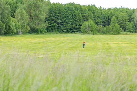 Small caucasian boy playing outdoor on meadow. Little blonde boy in outdoor at spring or summer.の写真素材