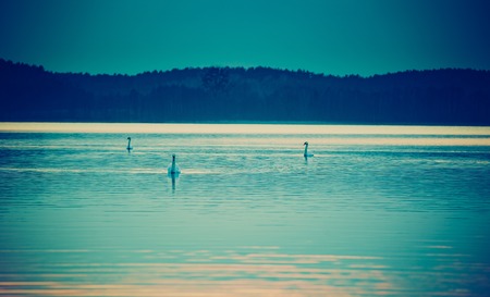Vintage photo of sunset over calm lake in Poland. Old photo of lake sunset.の写真素材