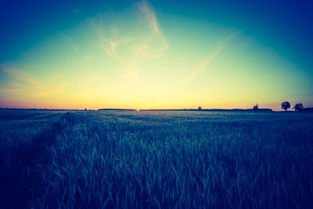 Vintage photo of beautiful sunset over summer field. Natural landscape with vintage mood.の写真素材