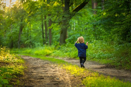 Small blonde boy playing in forest. Natural landscape with small caucasian boy.の写真素材
