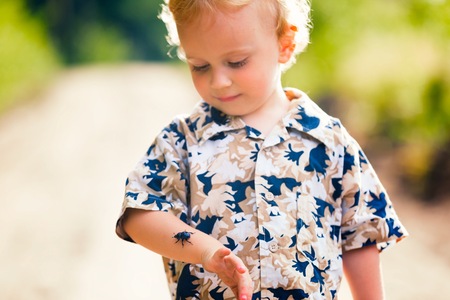 Little boy playing with big beetle. Summer child portrait.の写真素材