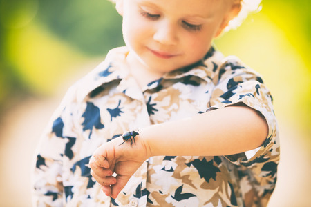Little boy playing with big beetle. Summer child portrait.の写真素材