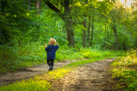 Small blonde boy playing in forest. Natural landscape with small caucasian boy.の写真素材