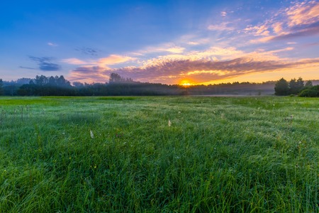 Beautiful morning on foggy meadow. Mysterious and hazy meadow landscape photographed in Poland.