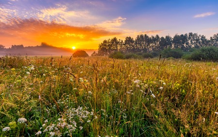 Vibrant landscape with foggy meadow in Poland. Countryside with wild foggy meadow.の写真素材