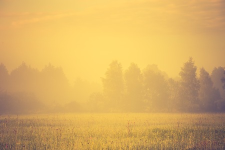 Vintage photo of vibrant landscape with foggy meadow in Poland.の写真素材