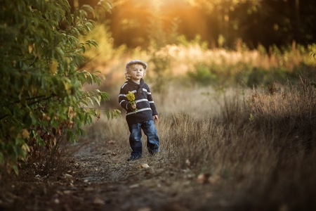 Boy playing outdoor in autumn scenery. Happy boy portrait.の写真素材