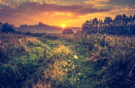 Vintage photo of vibrant landscape with foggy meadow in Poland.