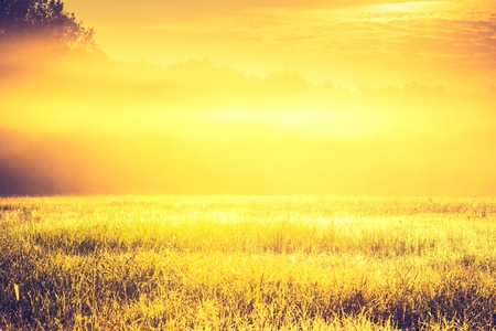 Vintage photo of vibrant landscape with foggy meadow in Poland.の写真素材