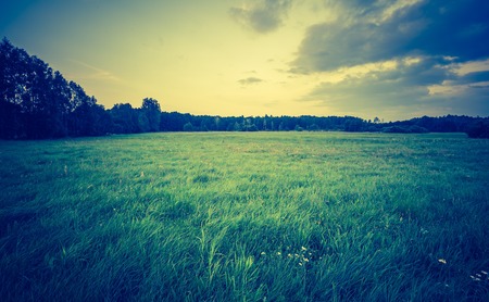 Vintage photo of summer meadow at afternoon, european landscape.の写真素材