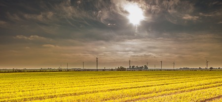 Spring or autumnal landscape with windmills on fields.の写真素材