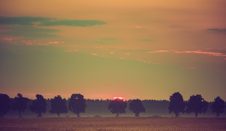 Vintage photo of early morning on rye field.の写真素材