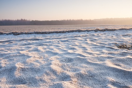 Beautiful winter field landscape.の写真素材