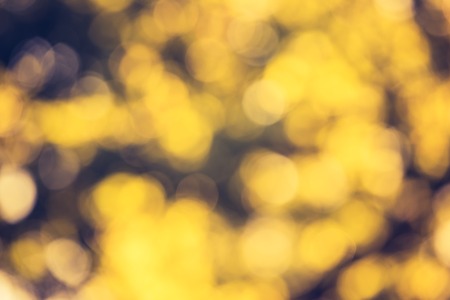 Vintage photo of color nature bokeh background blurred.の写真素材